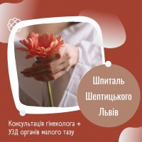 Консультація гінеколога + УЗД органів малого тазу у Шпиталі Шептицького Львів